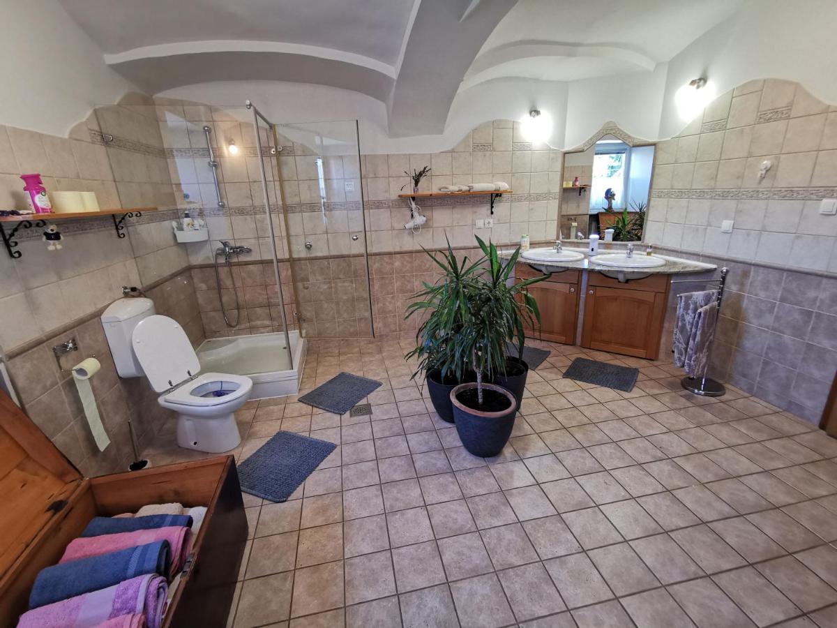 Charming Village House With Patio And Garden Slovenske Konjice Zewnętrze zdjęcie