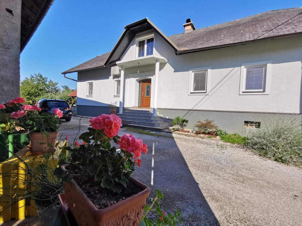 Charming Village House With Patio And Garden Slovenske Konjice Zewnętrze zdjęcie